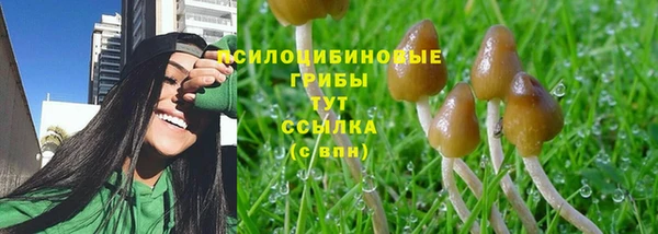 мескалин Алексеевка
